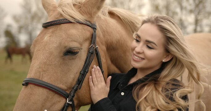 Stylish woman stroking a beautiful horse outdoors