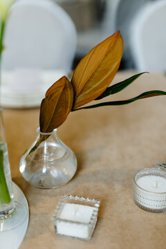 Natural decor on dining table 