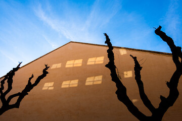 Window reflections on yellow facade