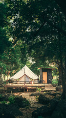 tent in the forest