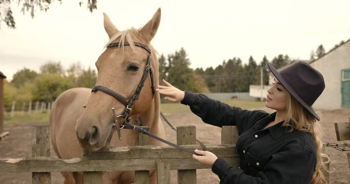 Stylish woman stroking a beautiful horse outdoors