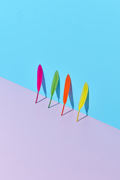 Four colorful feathers leaned on wall.