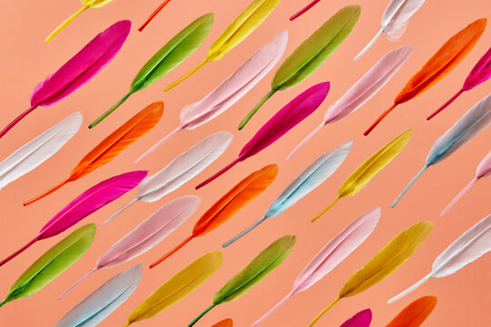 Vivid colorful feathers laid on beige backdrop.