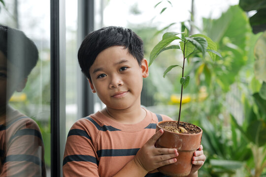 happy smiling boy holding flower in pot