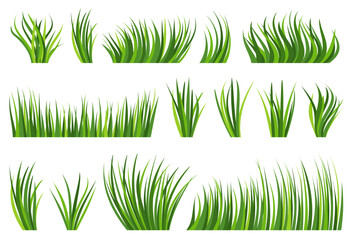 Green grass natural organic lawn flat set. Eco plant fresh bush. Different shape spring herbal turf on white background. Summer bio herb meadow. Greenery leaves cartoon icon. Foliage landscape border