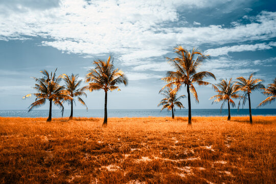 Surrealistic landscape