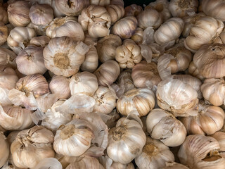 Group of garlic on market