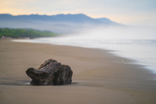 Picture of a log of wood on the beach