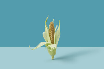 Golden corn on duotone blue background.