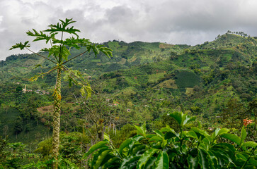 Fototapeta na wymiar Montañas de Jardín, Antioquia, Colombia, Sur America