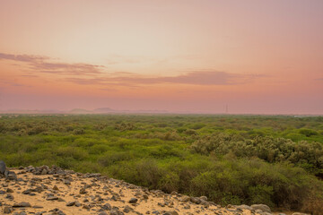 landscapes of saudi arabia