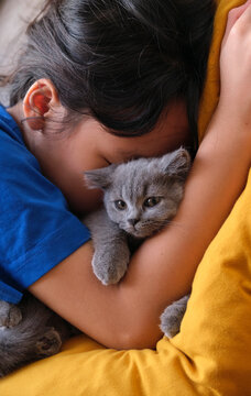 Closeup Asian girl and her pet cat in her arms