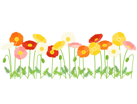 カラフルなポピーのお花畑をイメージしたイラスト