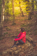 Young woman enjoying the fall colors among beech trees in October.