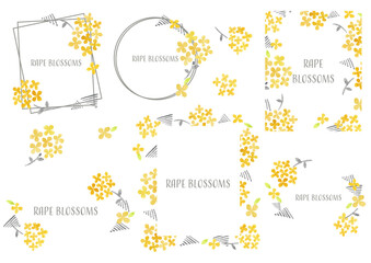 rape blossom frames set