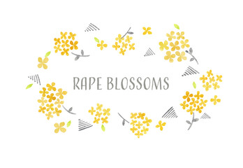 rape blossoms frame
