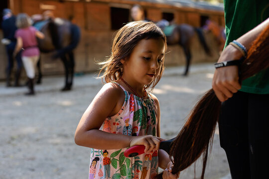 little girl brushing horse tail