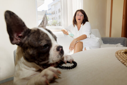 woman and dog