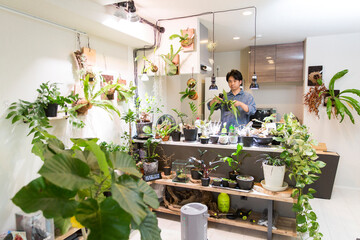 インテリアグリーンで溢れた自宅。趣味の植物の手入れをする日本人男性