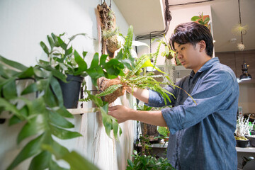 インテリアグリーンで溢れた自宅。趣味の植物の手入れをする日本人男性