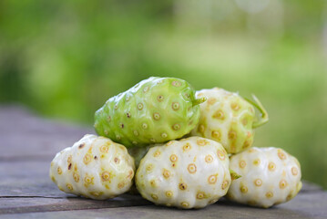 Noni fruit herbal medicines, fresh noni from tree - Other names Great morinda , Beach mulberry or Morinda Citrifolia
