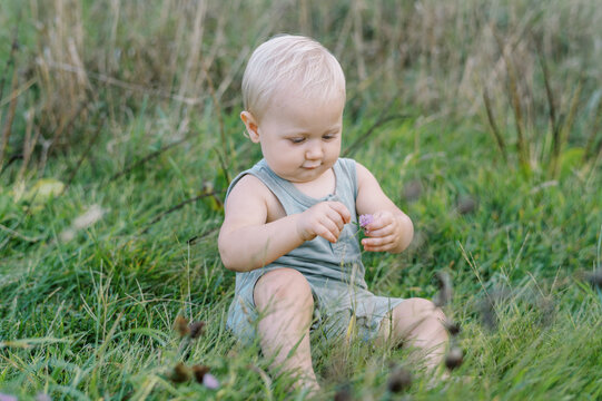 Portrait Of A Blonde Infant Boy In Tall Grass