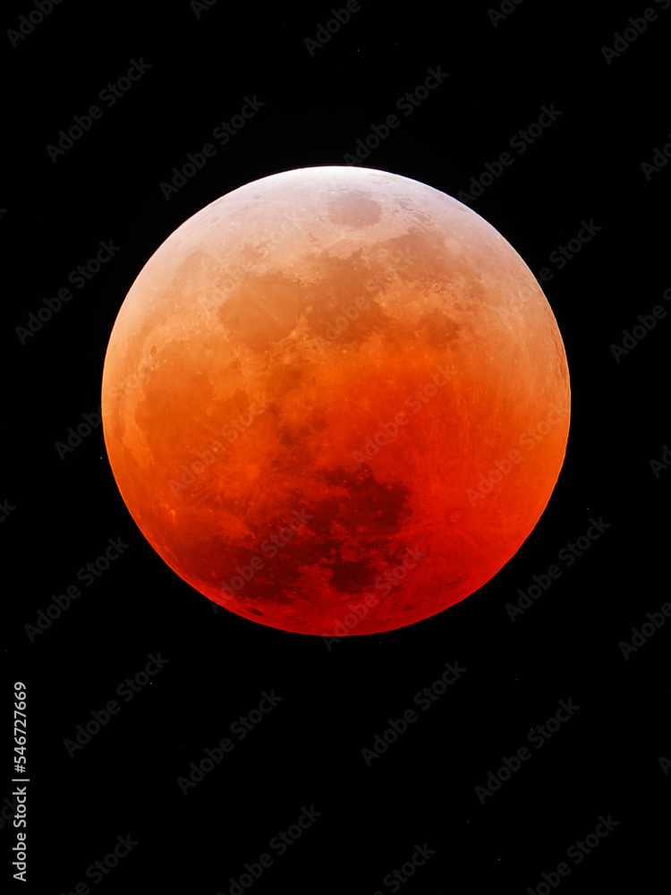 Wall mural lunar eclipse/blood moon from chrstchurch, new zealand, november 2022 (30s @ 900mm f/9).