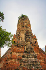 タイ・アユタヤの遺跡　ワット・チャイワッタナーラーム