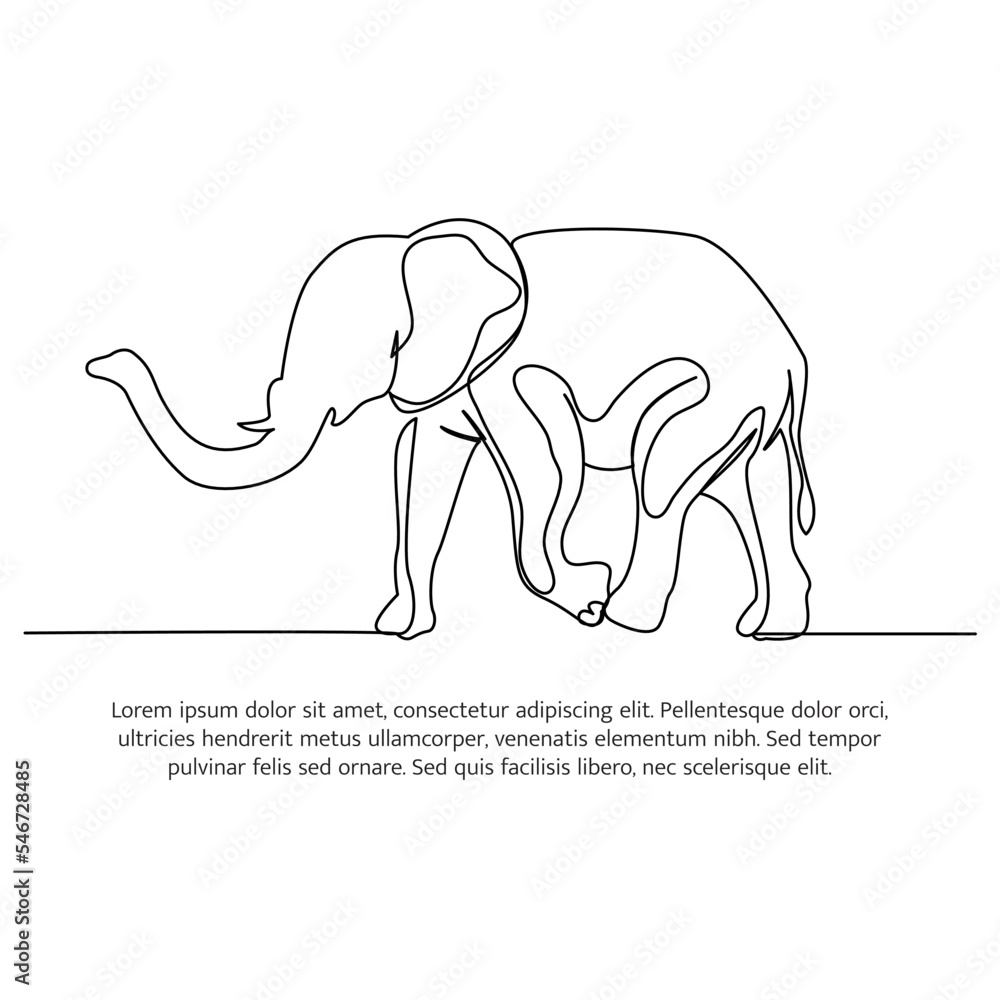 Poster elephant line design. wildlife decorative elements drawn with one continuous line. vector illustrati