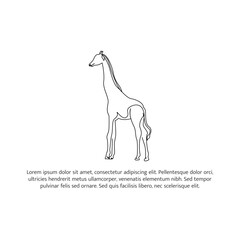 Giraffe line design. Wildlife decorative elements drawn with one continuous line. Vector illustration of minimalist style on white background.