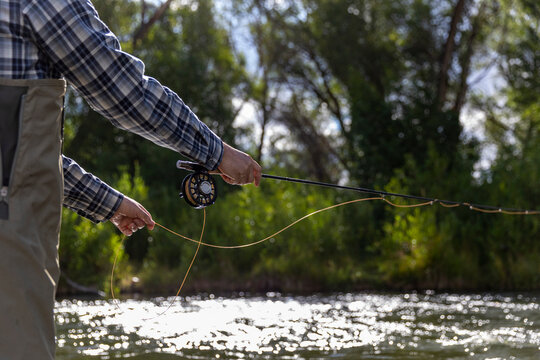 Delicated hands while Fly Fishing Provo River Utah in United States 