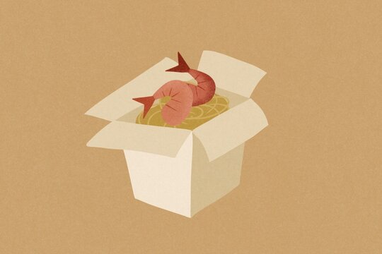 Digital illustration of Chinese take-away food