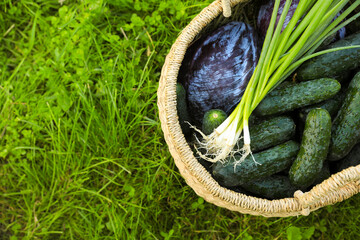 Tasty vegetables in wicker basket on green grass, top view. Space for text