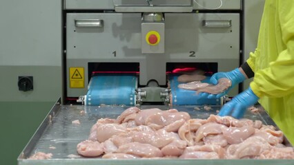 Chicken  fillet on conveyor belt in modern poultry processing plant.