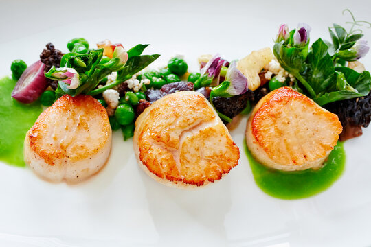 Overhead of scallops with peas and sprouts