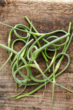 Close-up of Garlic Scrapes