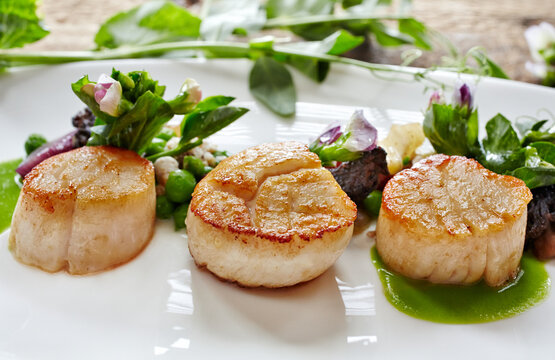 Scallops with peas and sprouts