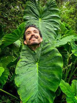 A man in forest surrounded by huge green leaves