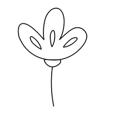 flower and leaf hand draw boho style