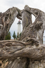 Crisp Point Lighthouse viewed through a tree root, Michigan