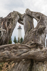 Crisp Point Lighthouse viewed through a tree root, Michigan