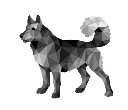 low poly style image, painted dog, husky, for decoration and stickers.,  ESP