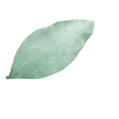 pastel watercolor green leaves