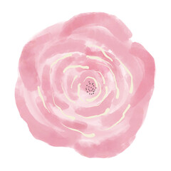 pink tone rose flower watercolor hand drawing, beautiful rose 