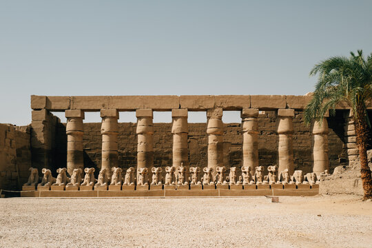 Row of ram headed sphinxes at Temple of Karnak