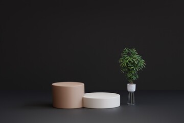 Aesthetic Podium Display 3d with Indoor Plant for Background Illustration.