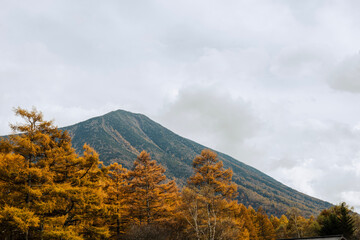 Fototapeta premium autumn in the mountains