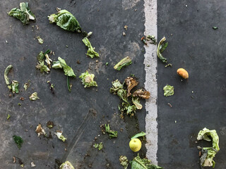 Vegetable scraps on the ground