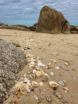 Set of shells