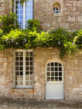 French florid facade